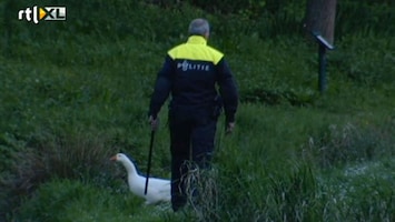 RTL Nieuws Beelden zoektocht Bunderbos naar vermiste broertjes