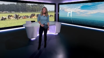 Rtl Nieuws - 19:30 Uur - 08:20 Uur