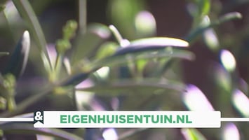 Eigen Huis & Tuin Afl. 20