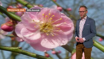 Rtl Weer - Laat