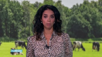 Rtl Nieuws - 19:30 Uur - Laat