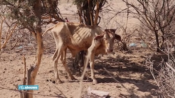 RTL Nieuws 07:15 uur