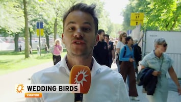RTL Boulevard Afl. 162