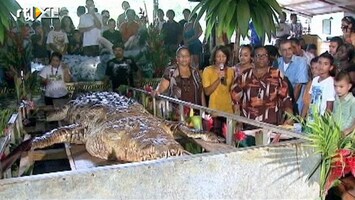 RTL Nieuws Dorp rouwt om dood krokodil
