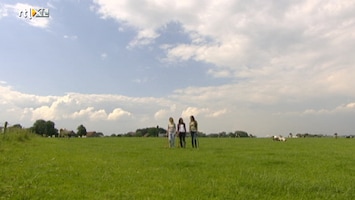 Lekker Weg Aan Tafel - Lekker Weg Aan Tafel /10