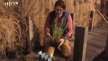 Eigen Huis & Tuin Hoe maak je een moeras in je tuin?