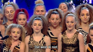 Holland's Got Talent Afl. 10