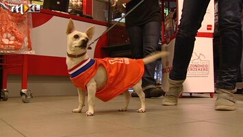 RTL Nieuws Oranje-prullen in alle winkels