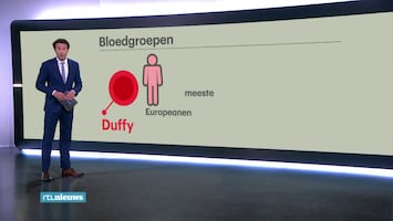 RTL Nieuws 19:30 uur