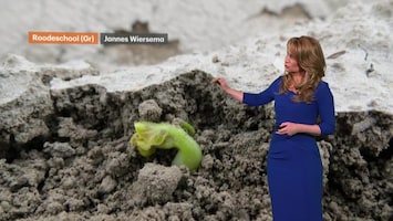 Rtl Weer - 19:55 Uur