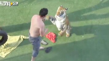 Editie NL Man vecht met tijger