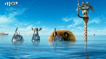 Films & Sterren Madagascar 3