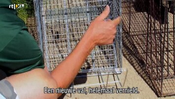 Helden Van 7: Billy The Exterminator - Helden Van 7: Billy The Exterminator Aflevering 1