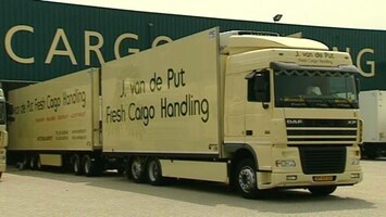 RTL Transportwereld Van de Put: Liever de DAF dealer