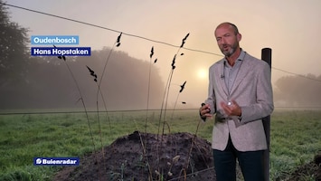 Rtl Weer - 19:55