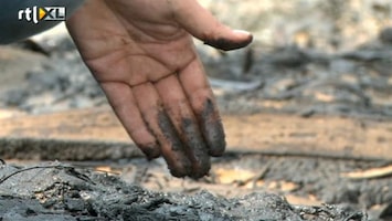 RTL Nieuws Shell op het matje voor vervuiling in Nigeria