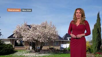 Rtl Weer - Laat