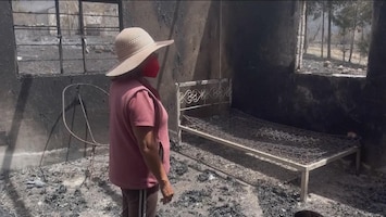 Bosbranden Mexico: huizen verwoest, dieren verbrand