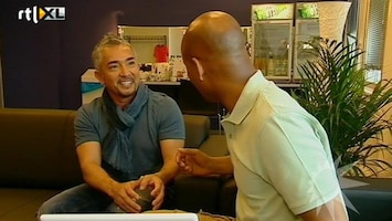 RTL Boulevard Humerto Tan in gesprek met Cesar Millan - Who let the dog out