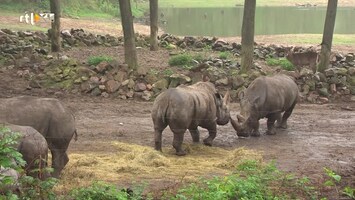 Burgers' Zoo Natuurlijk Afl. 1