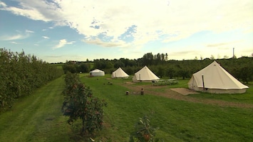 Bed & Breakfast UK Applewood Glamping