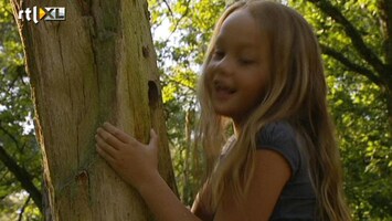 Green-kids Op zoektocht in het bos