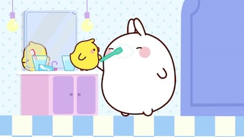 Molang Afl. 13