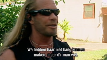 Helden Van 7: Dog The Bounty Hunter Helden Van 7: Dog The Bounty Hunter Aflevering 17