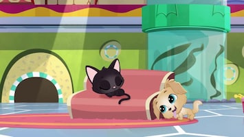 Littlest Pet Shop: A World Of Our Own Afl. 40