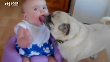Editie NL Bah! Hond tongt met baby