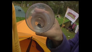 Ernst, Bobbie En De Rest Een dief op de camping (De vervalsing)