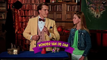 Wonderschool - Wardo's Wonderlijke Weddenschap