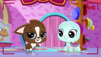 Littlest Pet Shop: A World Of Our Own Afl. 46