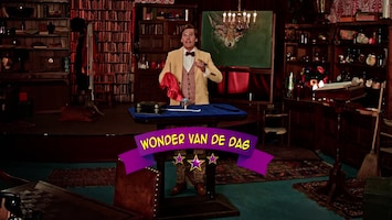 Wonderschool Het wonder van het zwevende glas