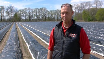 Dure paasbrunch dit jaar: asperges kosten 18 euro per kilo
