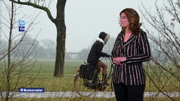 Rtl Weer - 19:55