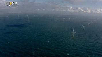 RTL Z Nieuws Windmolenpark voor de kust bij Egmond heeft geen schadelijke effecten op zeeleven