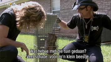 Helden Van 7: Billy The Exterminator Helden Van 7: Billy The Exterminator Aflevering 3