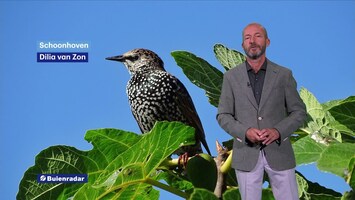 Rtl Weer - Laat