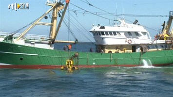 RTL Nieuws Koperjagers zijn steeds vaker vissers