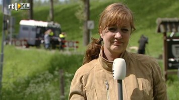 RTL Z Nieuws Zoeken naar broertjes gaat onverminderd door