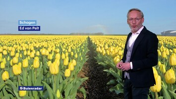 Rtl Weer - 19:55