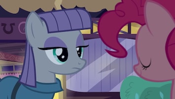 My Little Pony The Maud couple