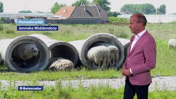 Rtl Weer - 19:55 Uur