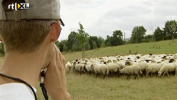 RTL Nieuws PvdA wil eind aan wildgroei natuursubsidies