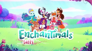 Enchantimals Afl. 13