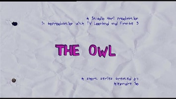 The Owl Afl. 42