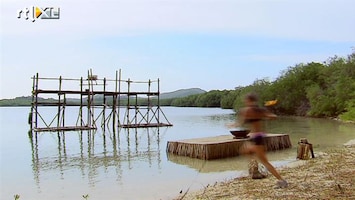 Expeditie Robinson Wie gooit als eerste?