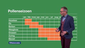 Rtl Weer - 19:55 Uur