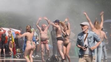 Dansend in bikini op de A12: honderden activisten weggehaald 